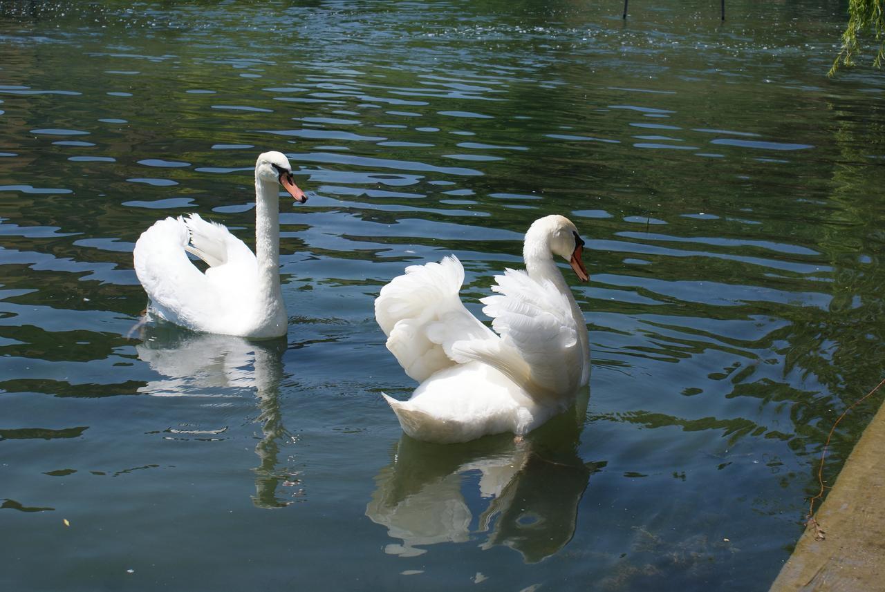 Agriturismo Villa Dei Mulini Volta Mantovana Kültér fotó